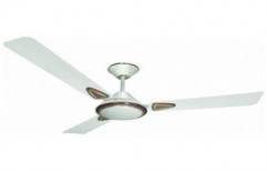 Double Ball Bearing Ceiling Fan by Shiv Nath Electric Co.