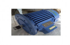 Flange Mounted Electric Motor by Shree Araganathar Industry