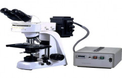 Fluorescent Microscope by Esel International