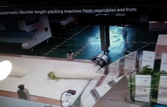 Fruit And Vegetable Packing Machine by C. T. K. Enterprises Private Limited