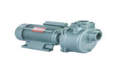 Horizontal Centrifugal Monoblock Pump by Apex Pumps