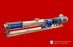 Mango Pulp Transfer Screw Pump by Prakash Process Pumps