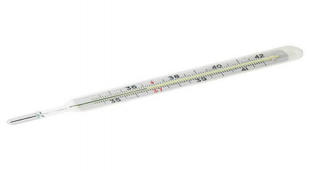 Oval Clinical Thermometer by Dayal Traders