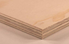 Plywood Board by Jain Brothers & Co.