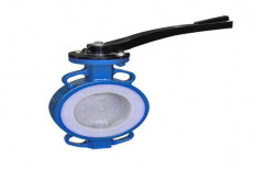 PTFE, FEP, PFA Lined Butterfly Valve by Energy Economics