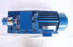 Rotary Gear Pump by Cnp Pumps India Private Limited