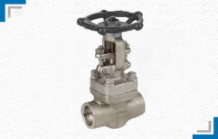 Socket Weld Gate Valve by Mackwell Pumps & Controls