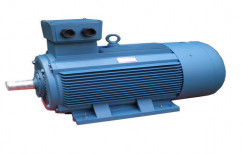 SPDP Squirrel Cage Induction Motor by Ashok Electro- Mech Industries