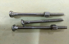 SS Carriage Bolt by Nipun Machine Tools