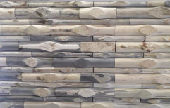 Wall Elevation Cladding Tiles by Viteesha Tiles & Sanitary