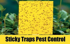 Yellow Sticky Traps by Laxmi Agro Agencies