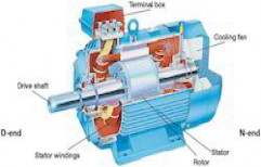 AC Induction Motor by Riva Pumps & Motors Pvt. Ltd.