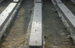 Cemented Fencing Pillar by M/S Amit Hatwal Sanitary & Building Material Trading Co.