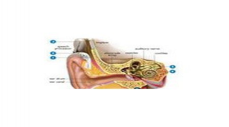 Cochlear Implants by National Hearing Care Centre