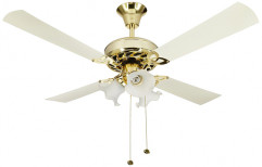 Crompton Ceiling Fans by S. R. Seth & Sons