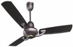 Designer Ceiling Fan by Shiv Nath Electric Co.