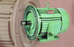 Foot & Mountain Induction Motor by Shital Electricals
