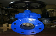 Gate Valve by Transenergy Engineering Solutions