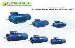 IE1 Certified Three Phase Induction Motors by Emerge Wagner India Private Limited
