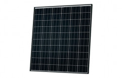 Mono Solar Cell by City Solar Enterprises