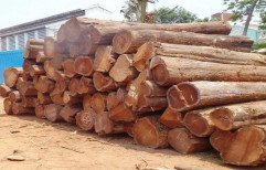 Teak Wood Round Logs by Jayaraj International Private Limited