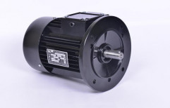 AC Induction Motor by Pilot Electric Ind.