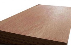 Commercial Plywood by Ramdev Plywood & Hardware