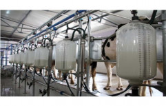 Dairy & Milk Processing Plant by Naugra Export