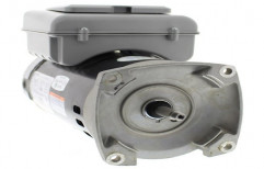 Dual Speed Motor by Shree Araganathar Industry