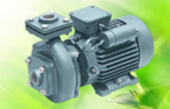 Horizontal Centrifugal Monoblock Pump by CNP Pumps India Pvt. Ltd.