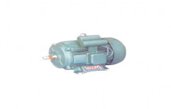 Induction Electrical Motor by Premier Marketing