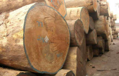 Kushya Wood log by PMJ Wood Industries