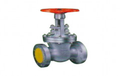 Low Pressure Cast Gate Valve by Fortune Engineers