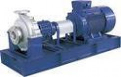 SS Pumps by Wide Wave Technology