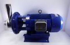 24 M Maximum 2 HP Stainless Steel Pump, Model Name/Number: MSP5A, Size: 50 X 40mm