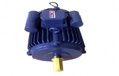 Three Phase AC Motor by Farmtech Industries