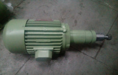 Three Phase Motors by Shital Electricals
