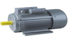 AC Induction Motor by Lomas Pumps
