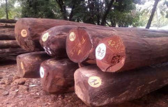 Anjili Wood by PMJ Wood Industries