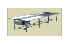 Conveyor Belt Packaging by Anmol Pharma Equipments