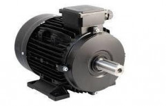 Foot Mounted Electric Motor by Shree Araganathar Industry