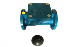 NRV Flange And Ball Type With Brass Ring by Powergold Agro Product