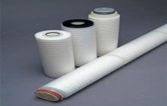 Polyethersulfone Sterilizing Grade Filters by Trinity Filtration Technologies Pvt. Ltd.