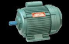 Single Phase Induction Motors by Sher Singh Traders