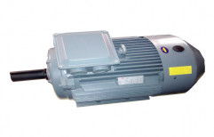 TEFC Slipping Induction Motor by S. R. Seth & Sons