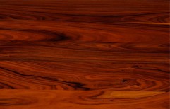 Texture Wooden Veneer by Madhav Tradelink