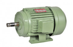 Three Phase Electric Motor by Shital Electricals