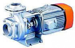 Agricultural Range Of Pumps by Radiant Electric Corporation