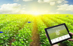 Agriculture Management Services by Industrial Needs Consultants