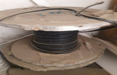 Cable by Shingari Enterprises